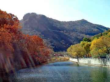 2004新澳门天天开好彩，风流神医